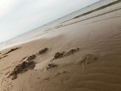 -拌来拌去石鍋拌飯(文鼎店)