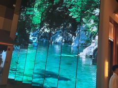 -桂满陇·海市蜃楼·黑金(国金店)