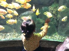 -苏州海洋馆