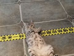 -神盾局科技密室(永川万达广场店)