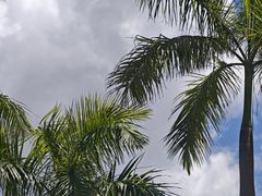 -星光大道