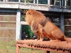 -昆明动物园