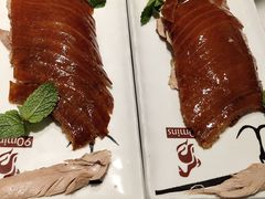 -鸭匠食府·挂炉烤鸭·新京菜(阜成路店)
