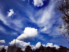 -长春公园(普阳街道)