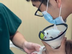 -宠颐生猫科·内科皮肤科(西平世纪城店)