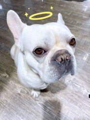 -IDEA·艾蒂尔科技美肤·日式美甲美睫集合店