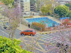 -小南山公园