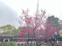 -成都市文化公园