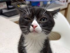 -宠颐生宠物医院·心肾内科·猫专科诊疗中心宠巢店