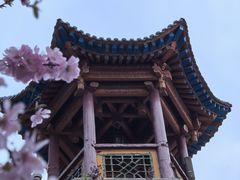 -西宁市东关清真大寺