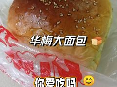 -华梅西餐厅(哈尔滨中央大街店)