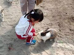 -前小桔亲子创意农场·草莓采摘·露营烧烤