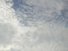 -厦门园林博览苑