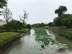 -良渚君澜度假酒店·中餐厅
