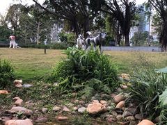 -景田北六街公园宠物主题园