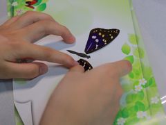 -上海昆虫博物馆