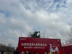 -青枫公园
