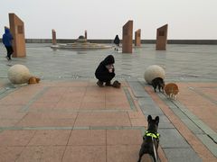 -南汇嘴观海公园