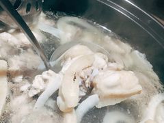 原味椰子鸡-探窝·竹笙椰子鸡(杨箕店)