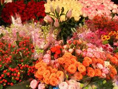 -越秀西湖花市(广州城市广场花卉店)