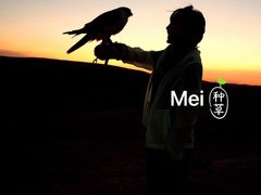 -迪拜沙漠冲沙