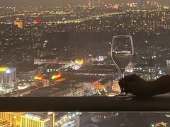 -广州奥园喜来登酒店
