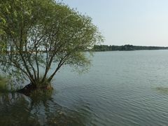 -贡湖湾湿地公园