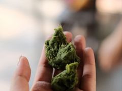 -大象粑粑造纸公园