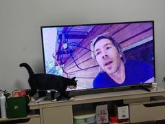 -岐城面馆(黄岐店)