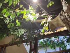 -醉湘厨艺(才华街店)