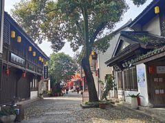 -鲁镇