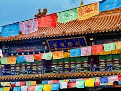 -大召无量寺