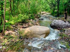 -云岫谷游猎自然风景区