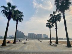 -金沙湖公园