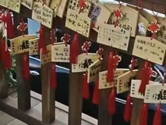 -大江户·温泉洗浴(浑南店)