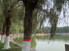 -五环公园