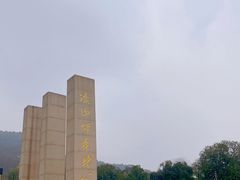 -铁山坪森林公园