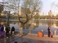 柳暗花明-文瀛公园
