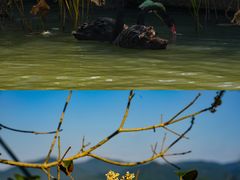 -东钱湖小普陀景区