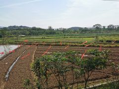 -木兰云雾山