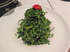 红果枸杞苗-清真·宁夏印象·盐池滩羊肉体验店(江宁路店)