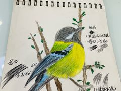 -缤纷鸟美术书法(建大校区)