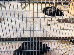 -北京园博大酒店