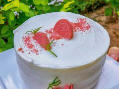 -今日·TODAY手作低脂动物奶油蛋糕定制(高新万达店)
