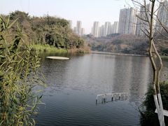 -重庆彩云湖湿地公园
