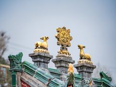 -塔尔寺