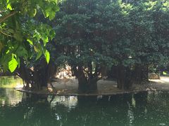 -九龙公园