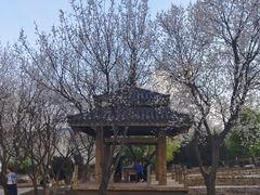 -黑龙江省森林植物园