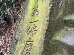 -大金鹰园