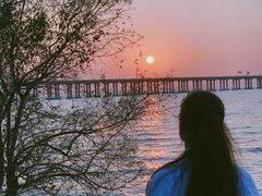 -宝安西湾红树林湿地公园